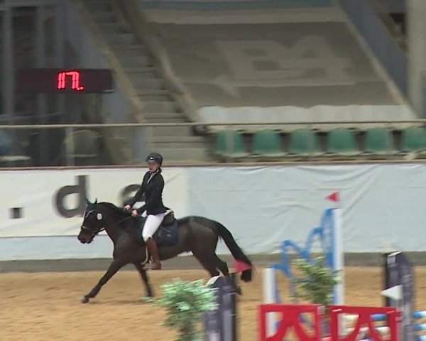 Reitturnier Kreuth/Opf. 2023