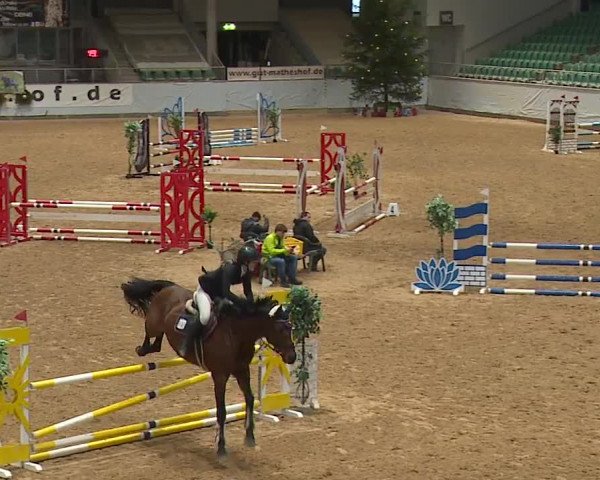 Reitturnier Kreuth/Opf. 2023