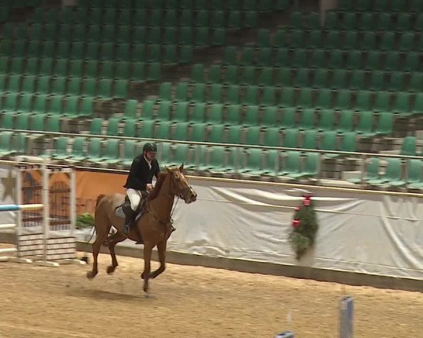 Reitturnier Kreuth/Opf. 2023