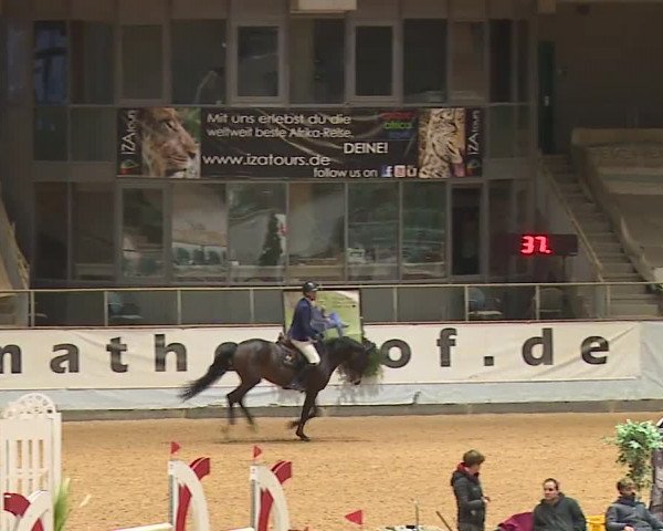 Reitturnier Kreuth/Opf. 2023
