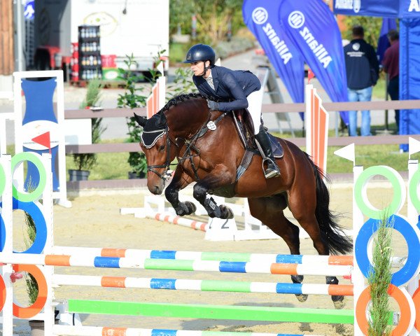 jumper Milli's Magic (Holsteiner, 2018, from Million Dollar)