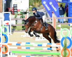 jumper Milli's Magic (Holsteiner, 2018, from Million Dollar)