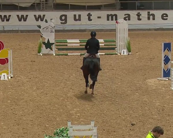 Reitturnier Kreuth/Opf. 2023