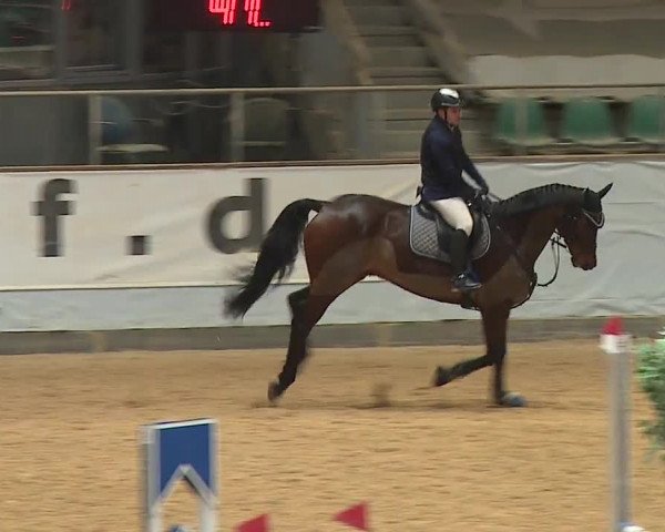 Reitturnier Kreuth/Opf. 2023