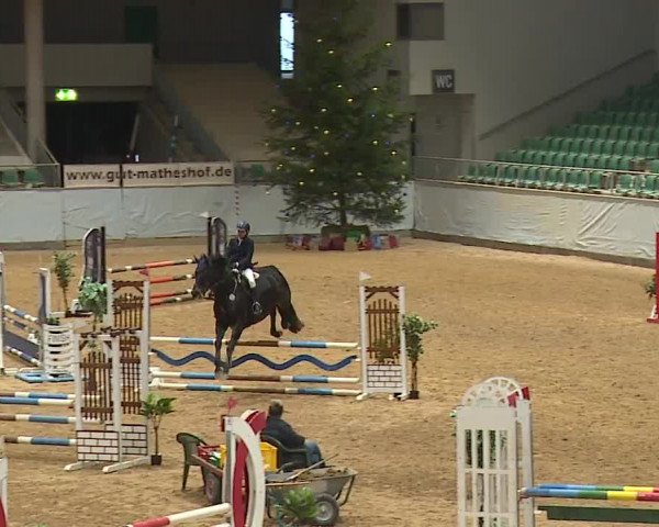 Reitturnier Kreuth/Opf. 2023