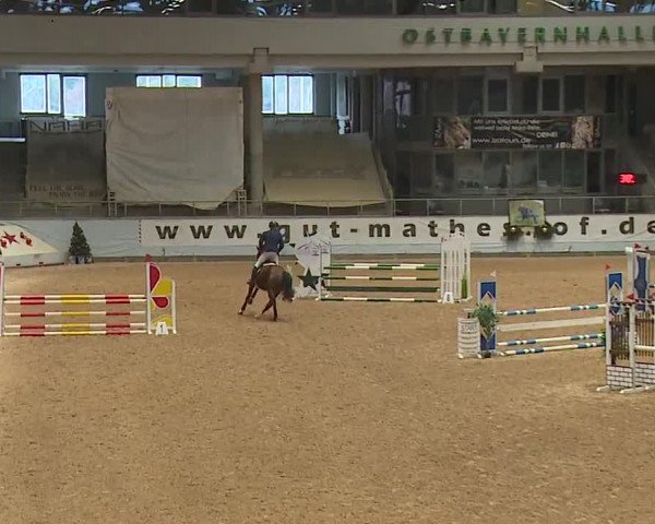 Reitturnier Kreuth/Opf. 2023