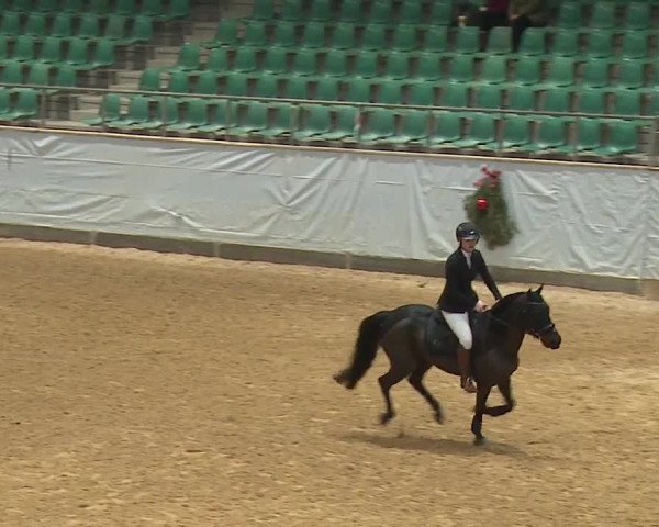 Reitturnier Kreuth/Opf. 2023