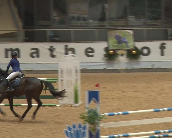 Reitturnier Kreuth/Opf. 2023