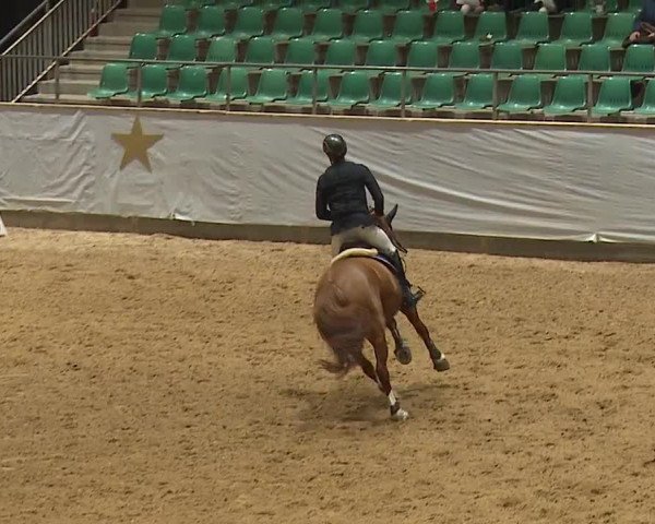 Reitturnier Kreuth/Opf. 2023