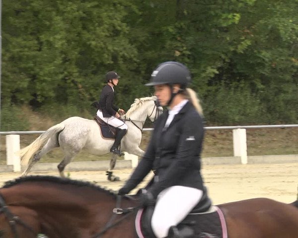 Reitturnier Forst 2021