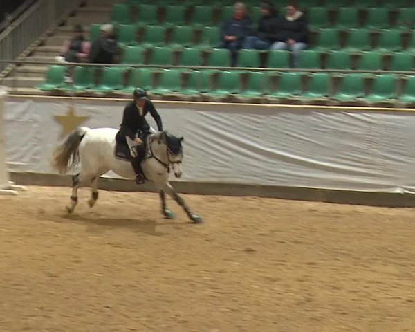 Reitturnier Kreuth/Opf. 2023