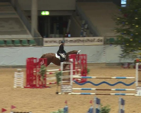 Reitturnier Kreuth/Opf. 2023