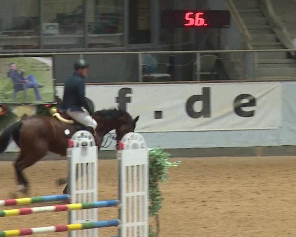 Reitturnier Kreuth/Opf. 2023