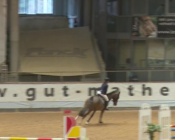 Reitturnier Kreuth/Opf. 2023