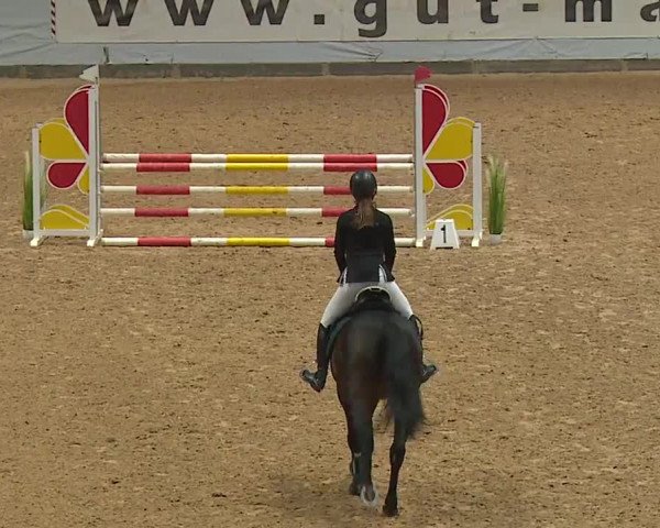 Reitturnier Kreuth/Opf. 2023