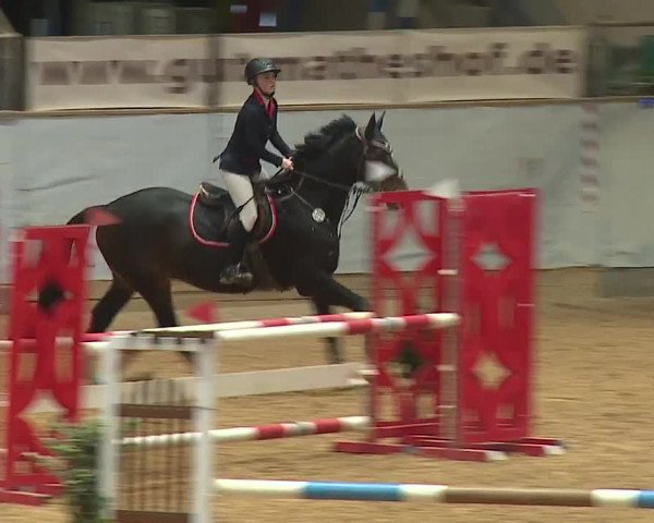Reitturnier Kreuth/Opf. 2023