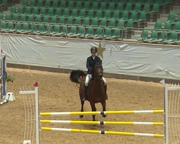 Reitturnier Kreuth/Opf. 2023