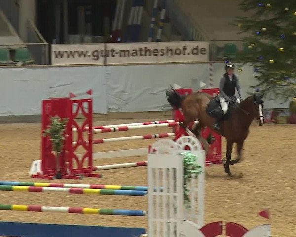 Reitturnier Kreuth/Opf. 2023