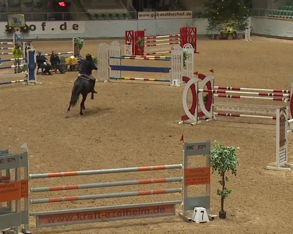 Reitturnier Kreuth/Opf. 2023