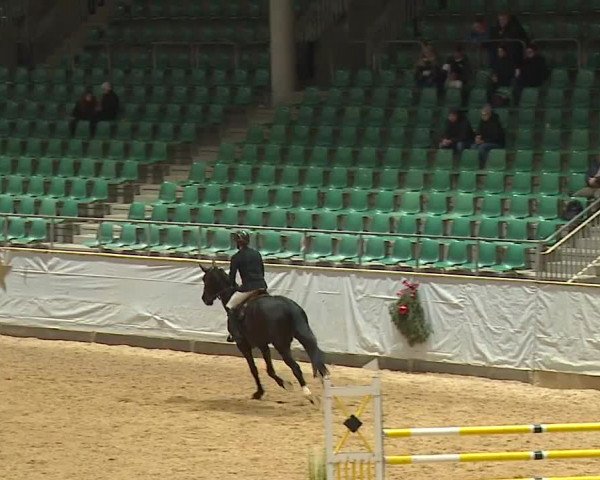 Reitturnier Kreuth/Opf. 2023