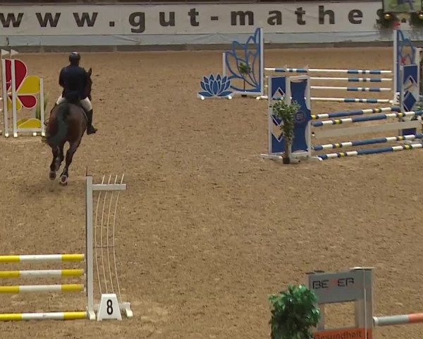 Reitturnier Kreuth/Opf. 2023
