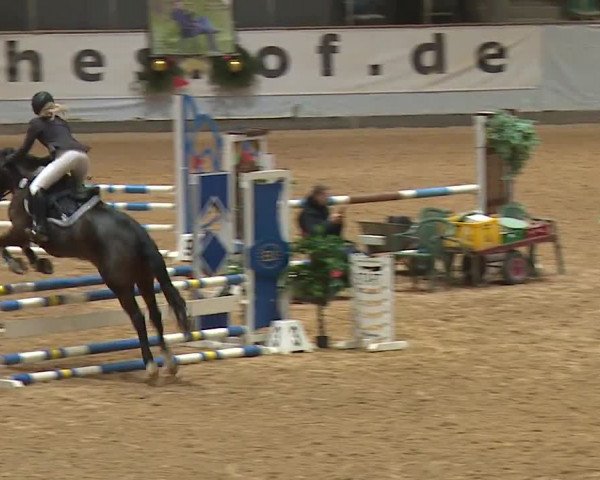Reitturnier Kreuth/Opf. 2023