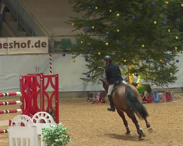 Reitturnier Kreuth/Opf. 2023