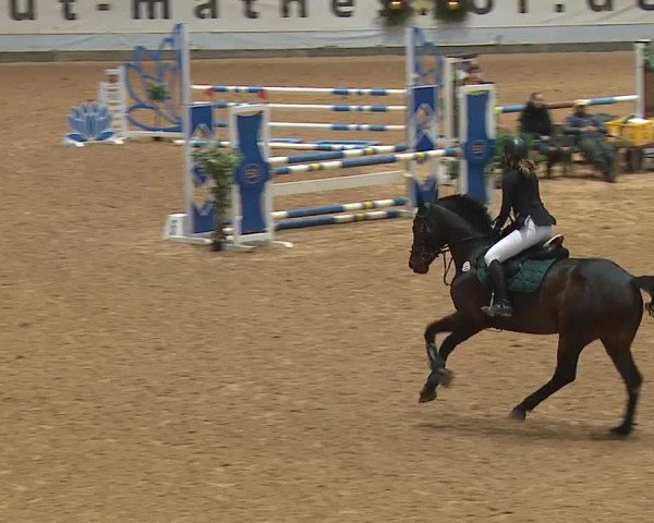 Reitturnier Kreuth/Opf. 2023