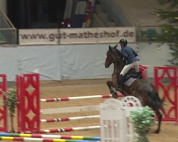 Reitturnier Kreuth/Opf. 2023