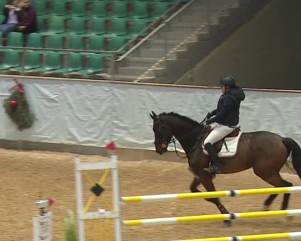 Reitturnier Kreuth/Opf. 2023