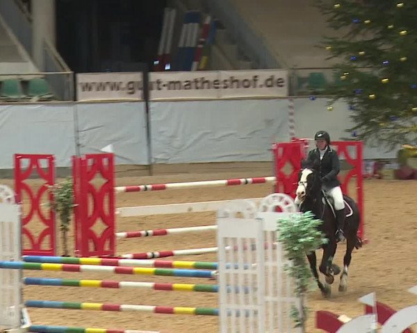 Reitturnier Kreuth/Opf. 2023