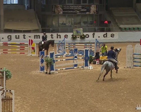 Reitturnier Kreuth/Opf. 2023