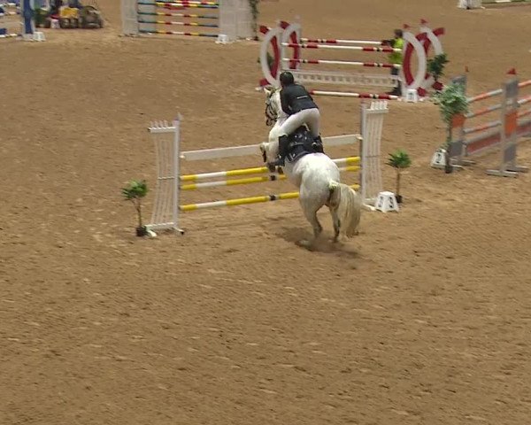 Reitturnier Kreuth/Opf. 2023