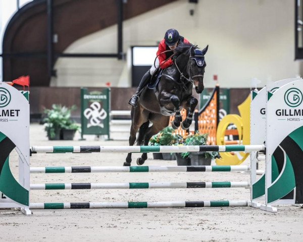 horse Cornet van Sissi RT Z (Zangersheide riding horse, 2019, from Cornet Obolensky)