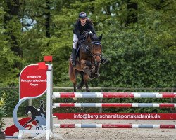 jumper Coachella F (Oldenburg show jumper, 2018, from Comme il Faut)