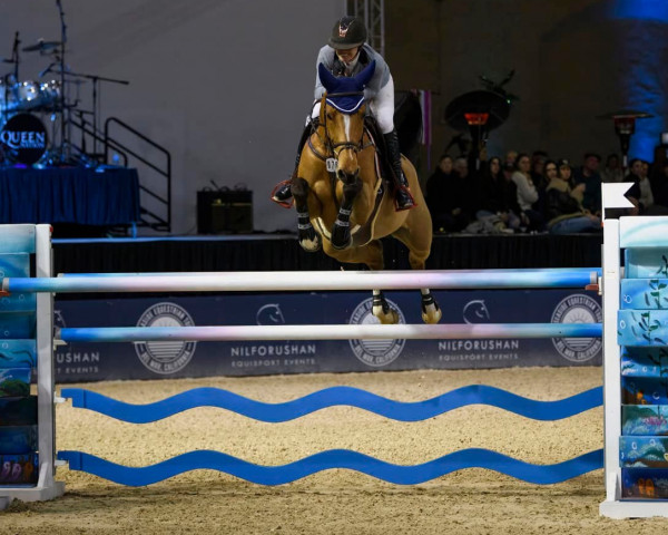 Springpferd Diamanta (Westfale, 2015, von Diathago)