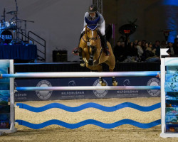 jumper Diamanta (Westphalian, 2015, from Diathago)