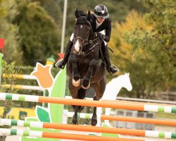 Springpferd Fabuloso VA (Holsteiner, 2016, von For Pleasure)