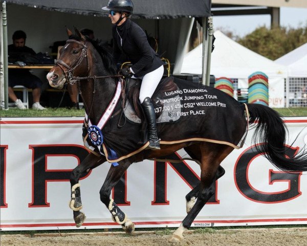 jumper Gaia (KWPN (Royal Dutch Sporthorse), 2011, from Cantos)