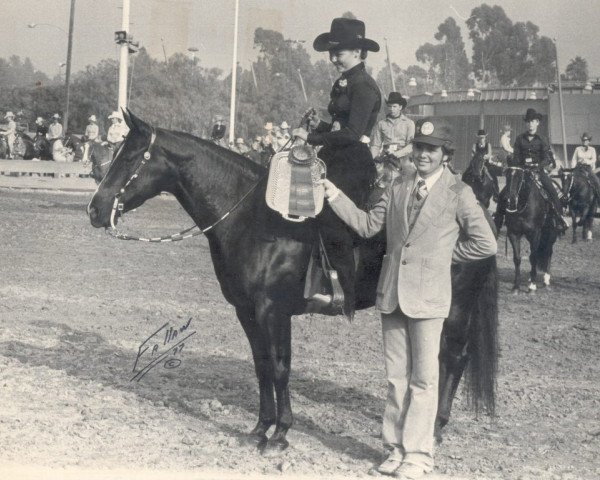 broodmare Ebony Chex (Quarter Horse, 1972, from King Fritz)