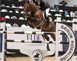 jumper Dion (KWPN (Royal Dutch Sporthorse), 2008, from Lupicor)