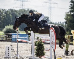 jumper Descara (Westphalian, 2016, from Dibadu L)