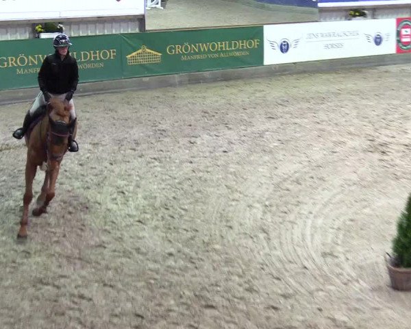 4. Nordic Jumping event Negernbötel 2024