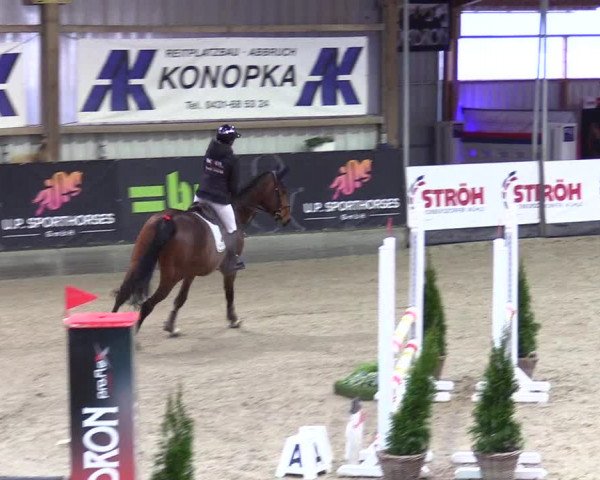 4. Nordic Jumping event Negernbötel 2024
