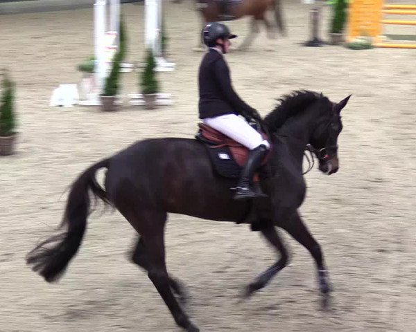 4. Nordic Jumping event Negernbötel 2024