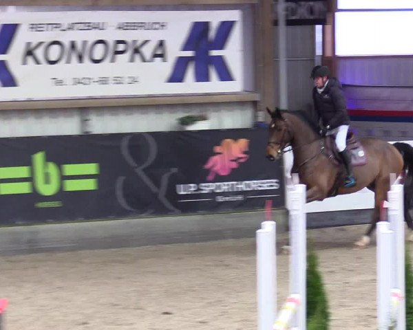 4. Nordic Jumping event Negernbötel 2024