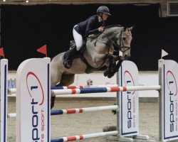 jumper Ballynoe Fear Bui (Irish Sport Horse, 2005)
