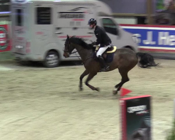 4. Nordic Jumping event Negernbötel 2024