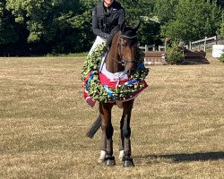 jumper Dealas (Holsteiner, 2017, from Dinken)