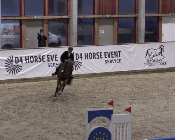 Reitturnier Prussendorf 2024